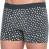 BOXER